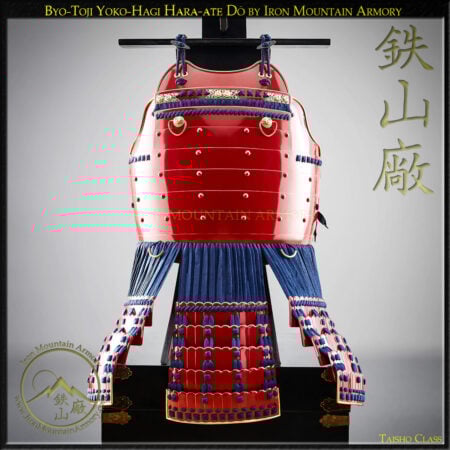 Byo-Toji Yoko-Hagi Hara-ate Do Taisho Class